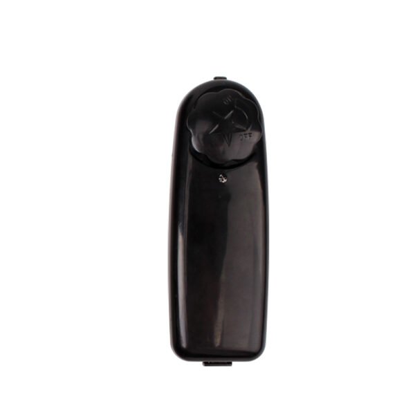 Dildo vibrador a control CHISA CN-111801975 - Imagen 4