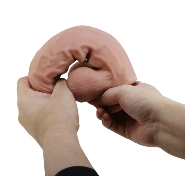 Dildo realista Masturbable PRETTYLOVE BW-008104NRG-1 - Imagen 6